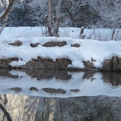 20130101-205746.jpg