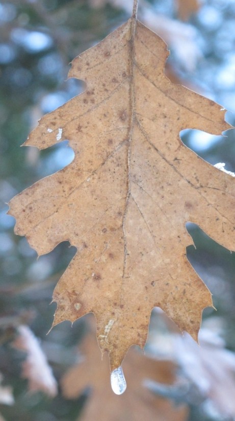 20130101-210624.jpg