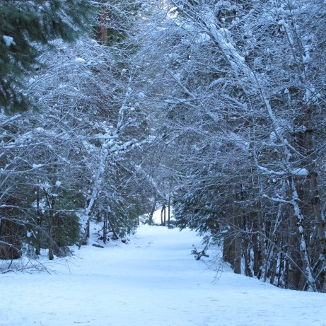 20130101-211127.jpg