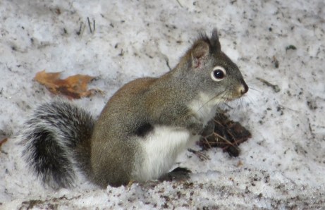 20130101-211700.jpg