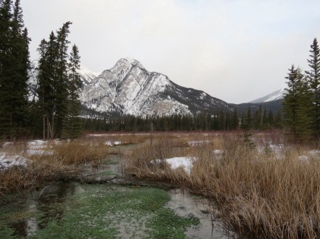 20140101-165852.jpg