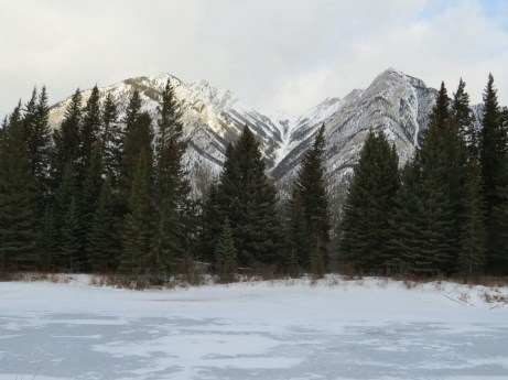 20140101-170318.jpg